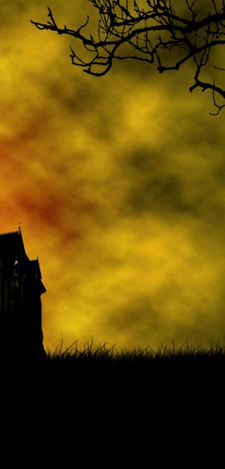 Haunted House 720x1500 Resolution Wallpaper, HD Other 4K