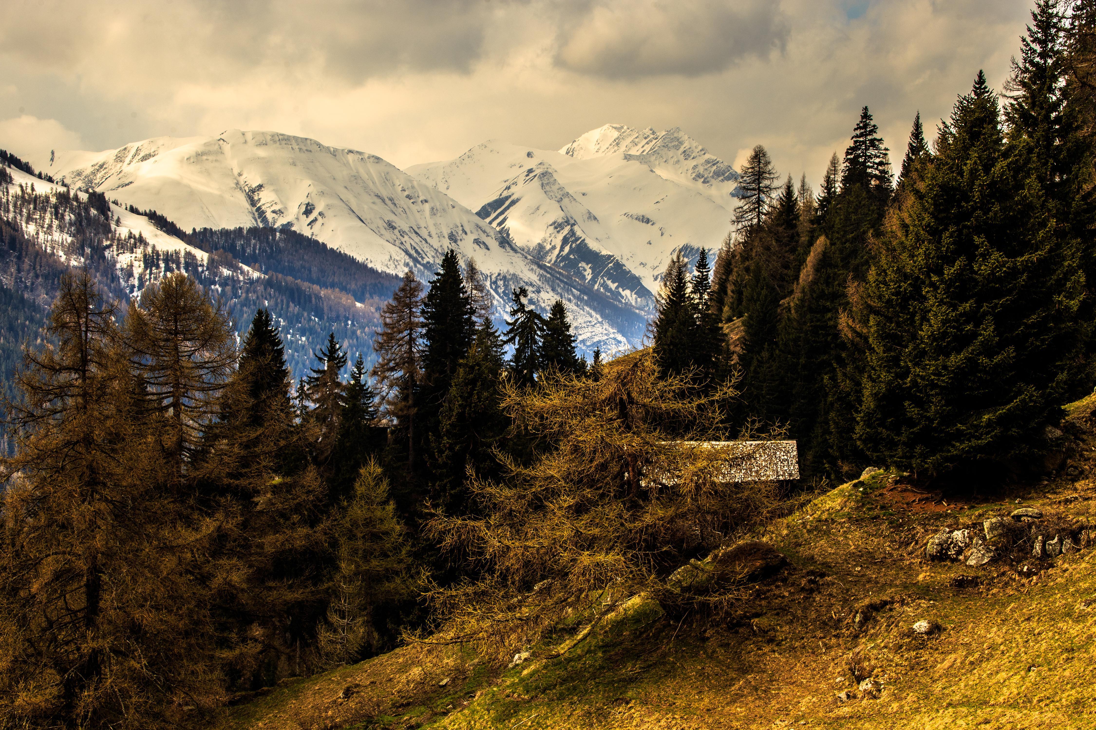 Wallpaper Alps Switzerland Nature Spruce Mountains 4500x3000