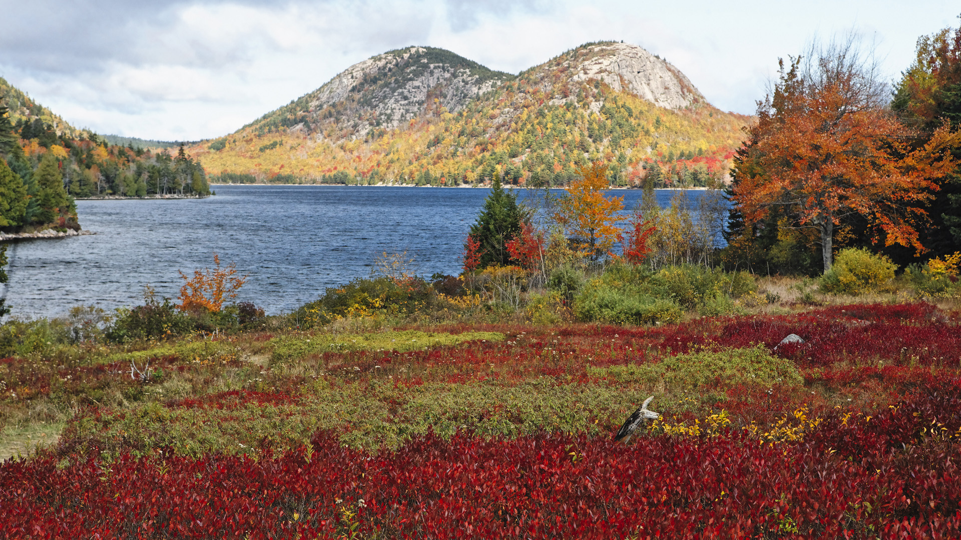 Acadia Desktop Wallpapers Wallpaper Cave