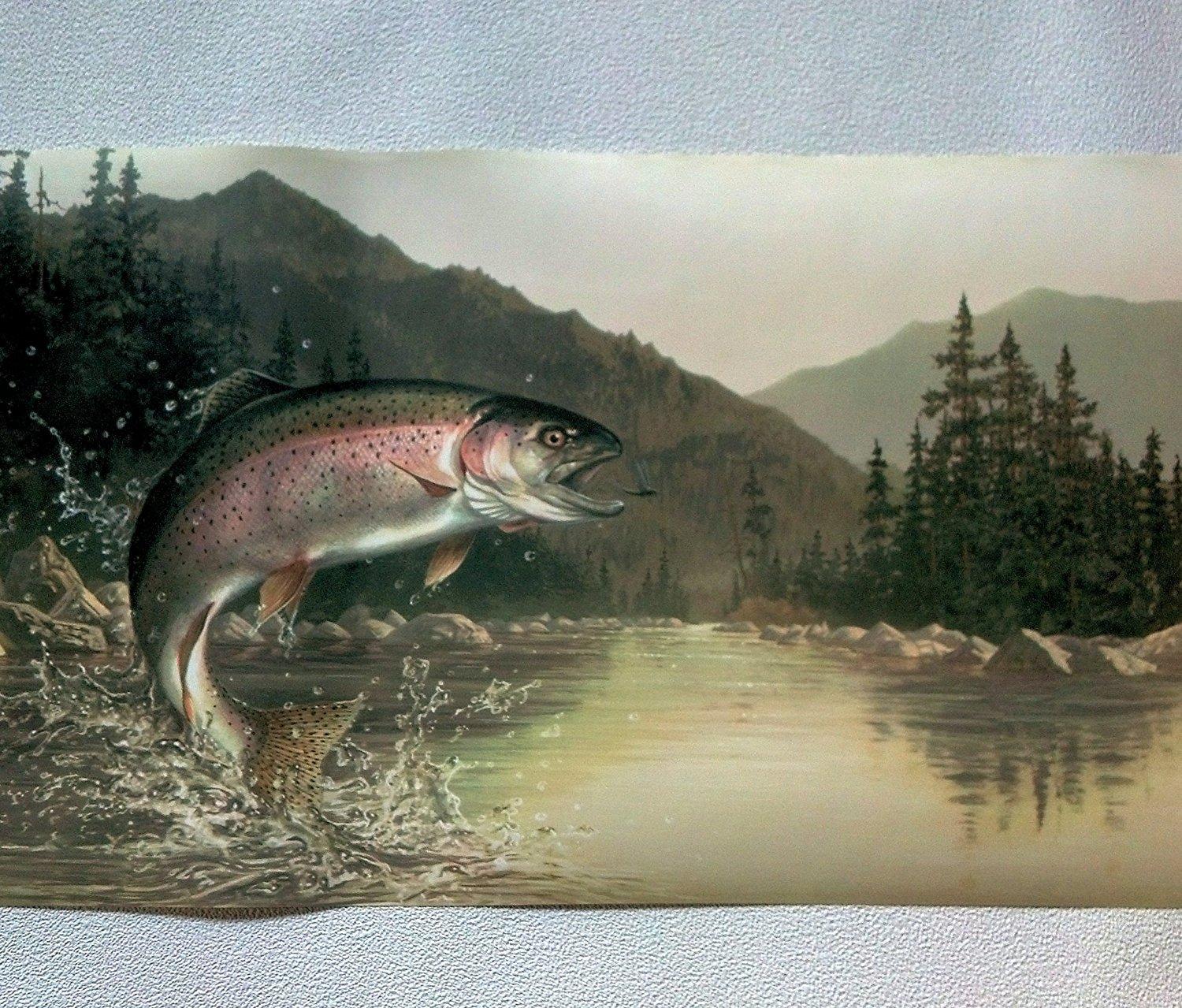 Rainbow Trout Wallpaper