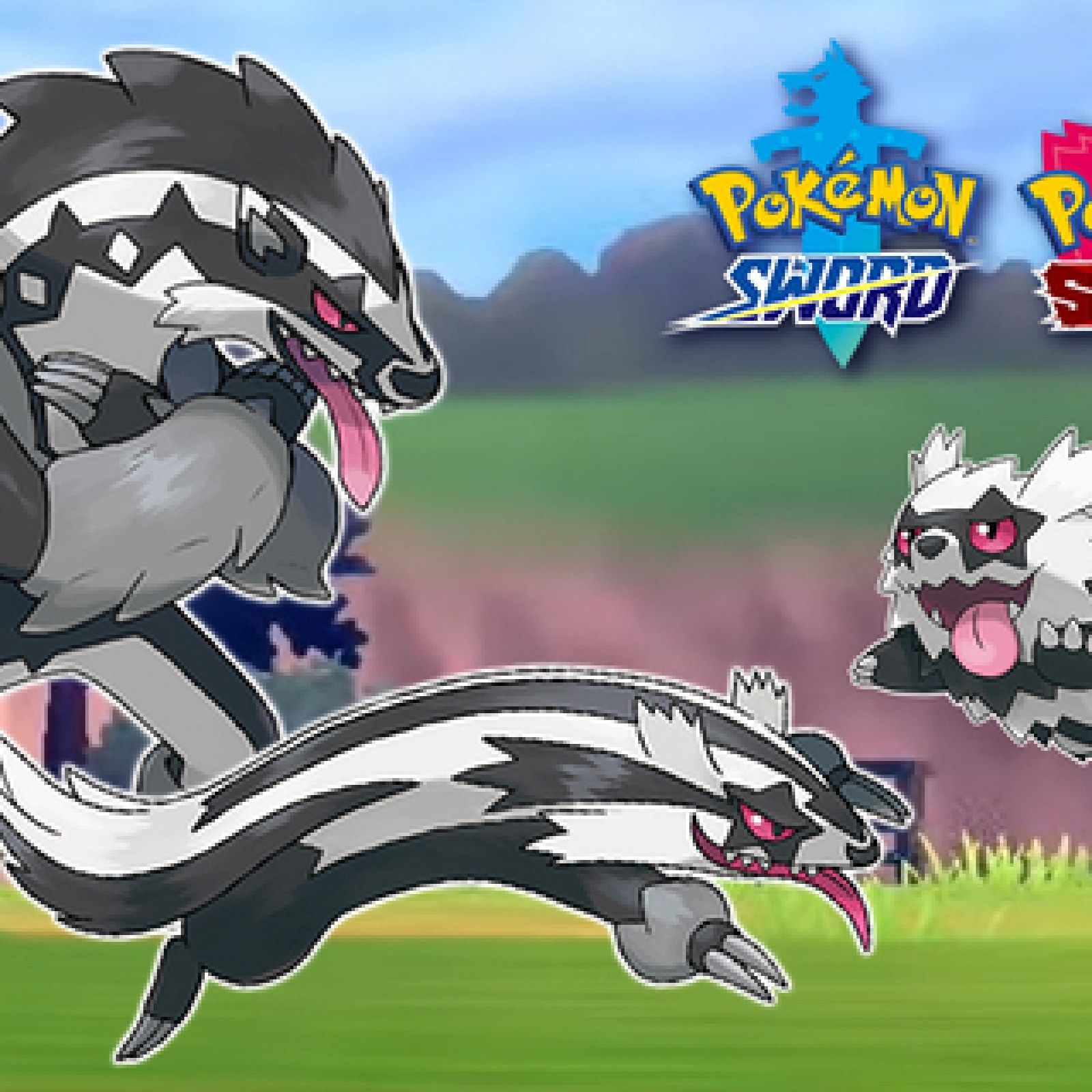 Galarian Zigzagoon Wallpapers Wallpaper Cave