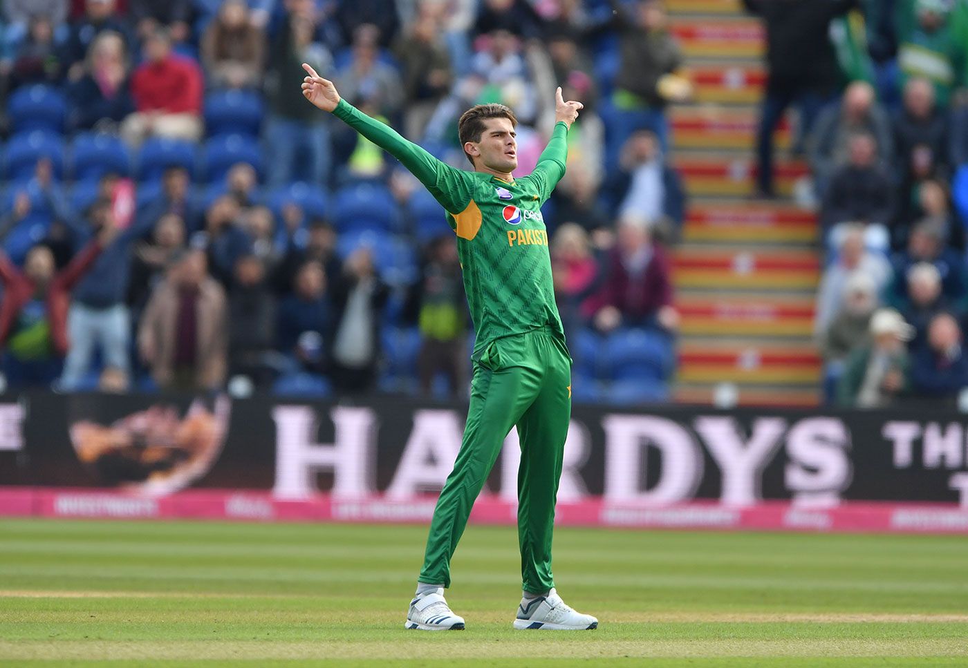 Shaheen Shah Afridi Wallpaper