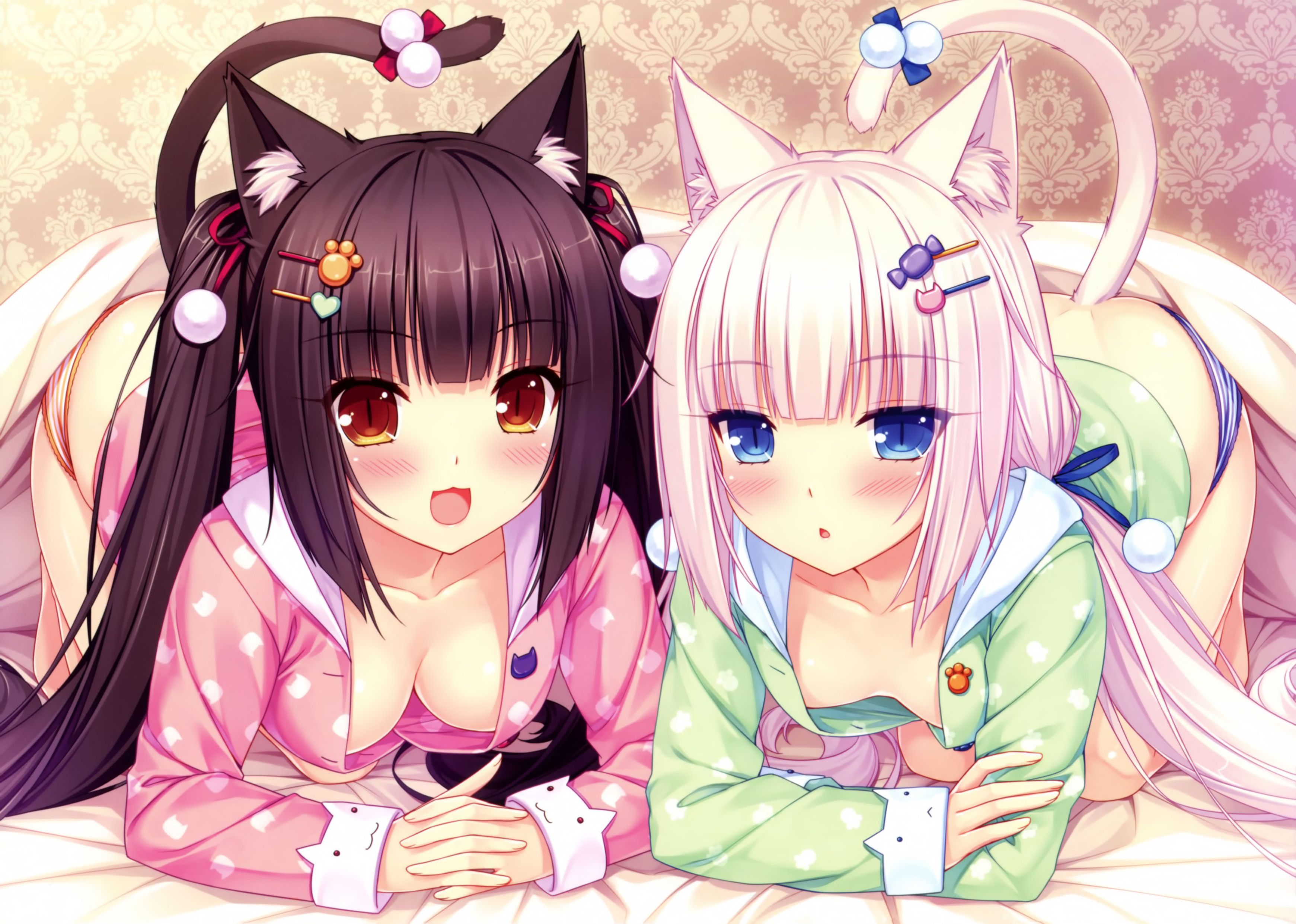 Nekopara Chocola Wallpapers Wallpaper Cave