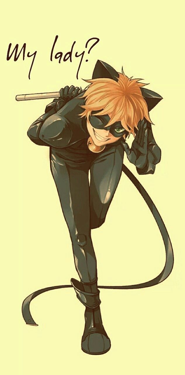 Aesthetic Chat Noir Wallpapers Wallpaper Cave