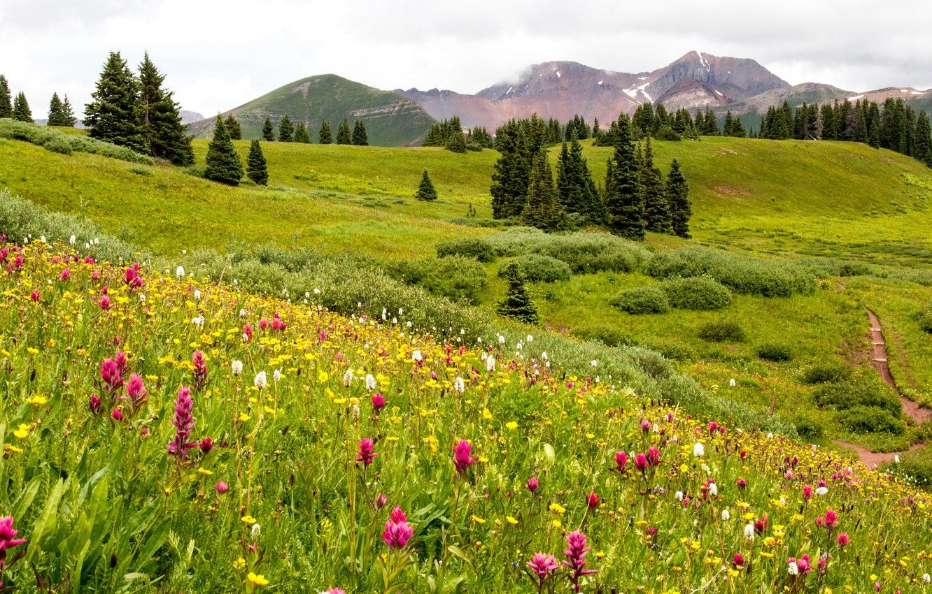 Colorado Mountains Summer Wallpapers Wallpaper Cave