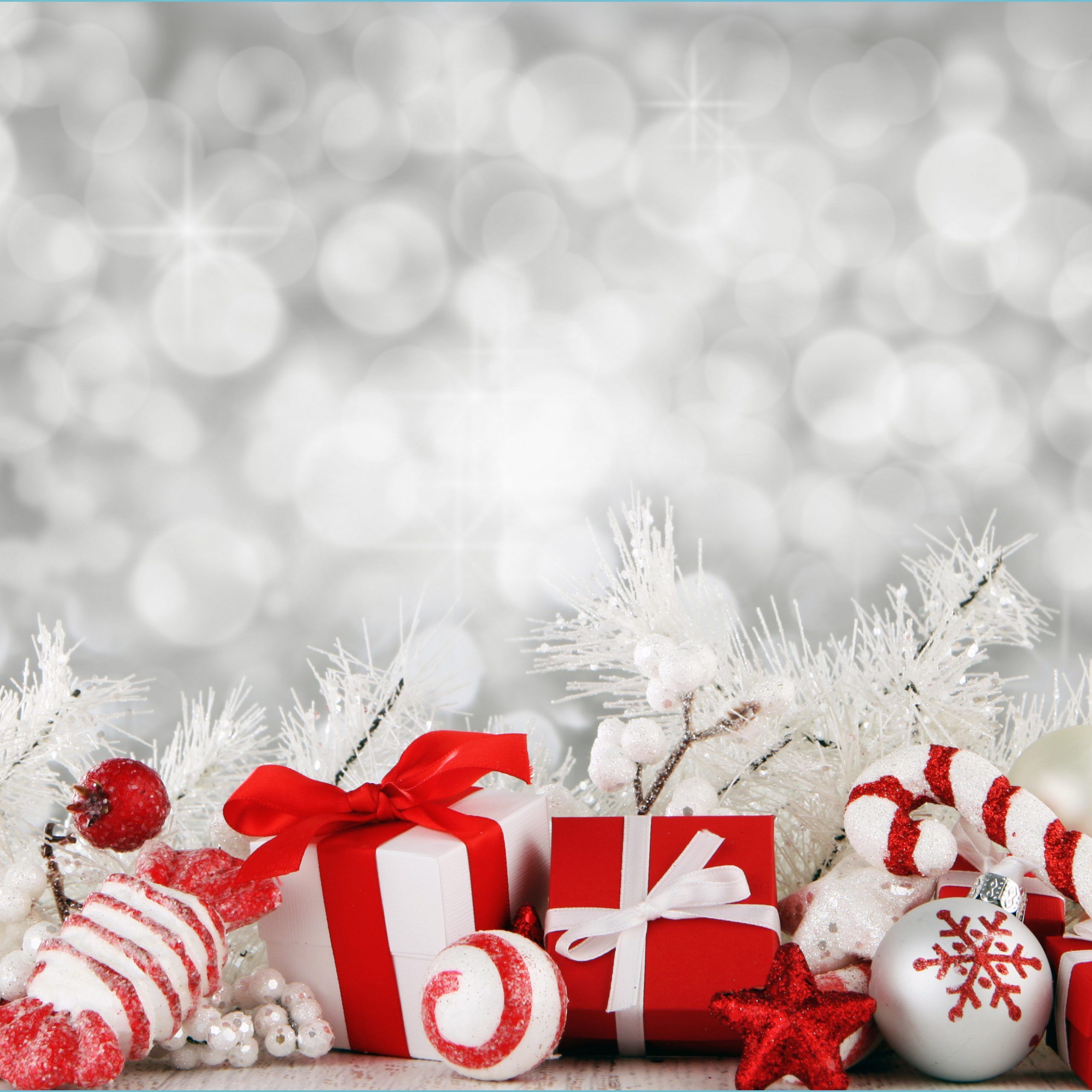 Christmas Background Photography background wallpaper