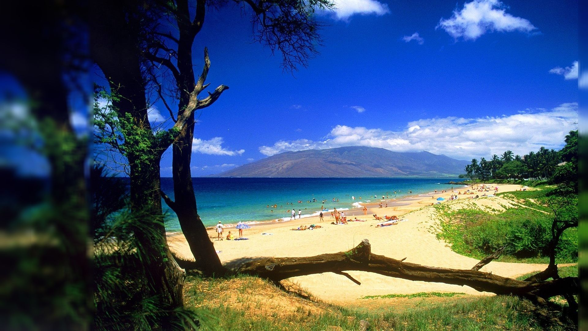 Beautiful Maui Beach Ultra Hd Wallpapers Wallpaper Cave