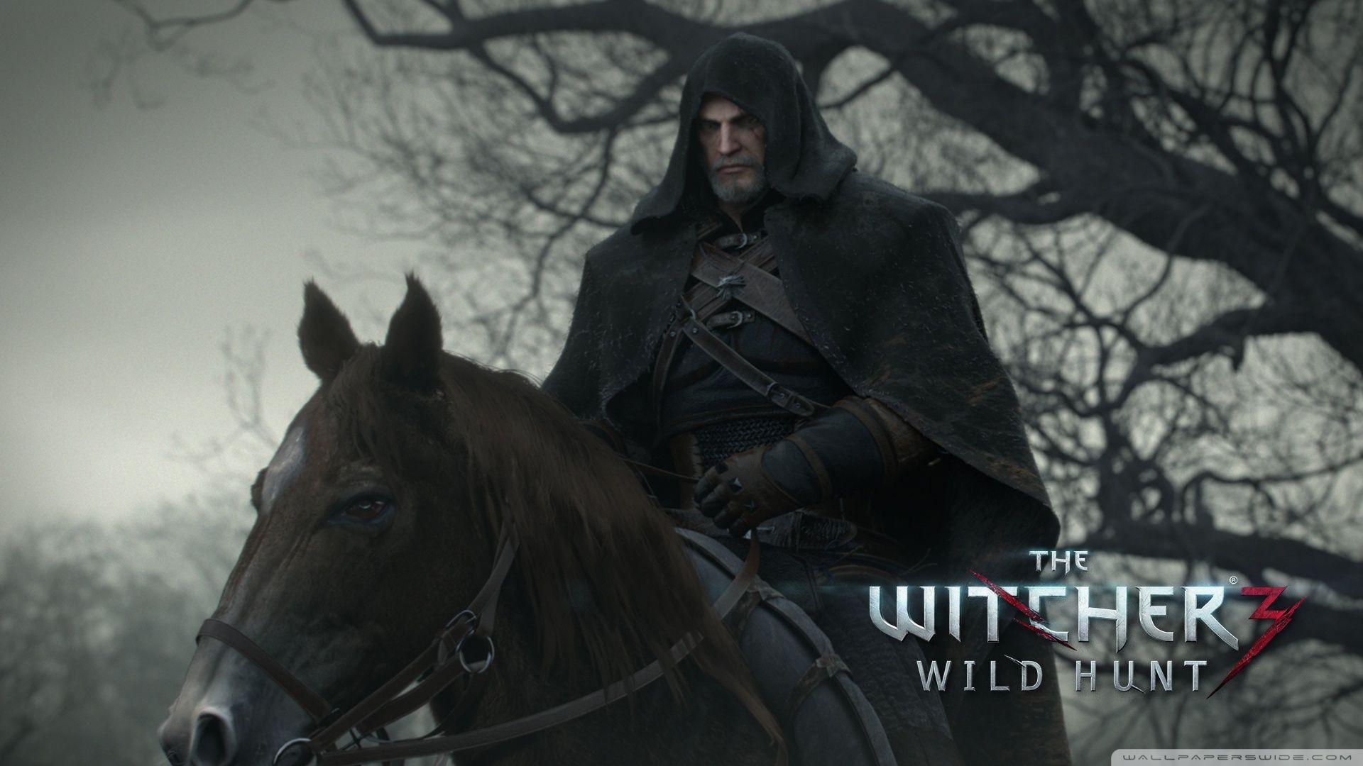 The Witcher 3 Wild Hunt HD desktop wallpaper, Widescreen, High