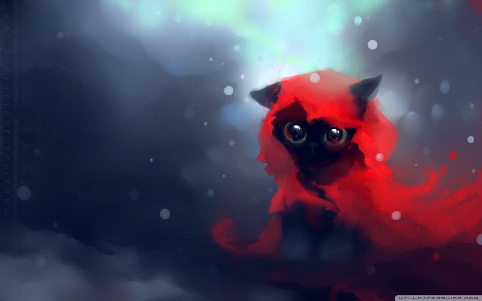 Red Riding Hood Cat HD desktop wallpaper, Widescreen, High