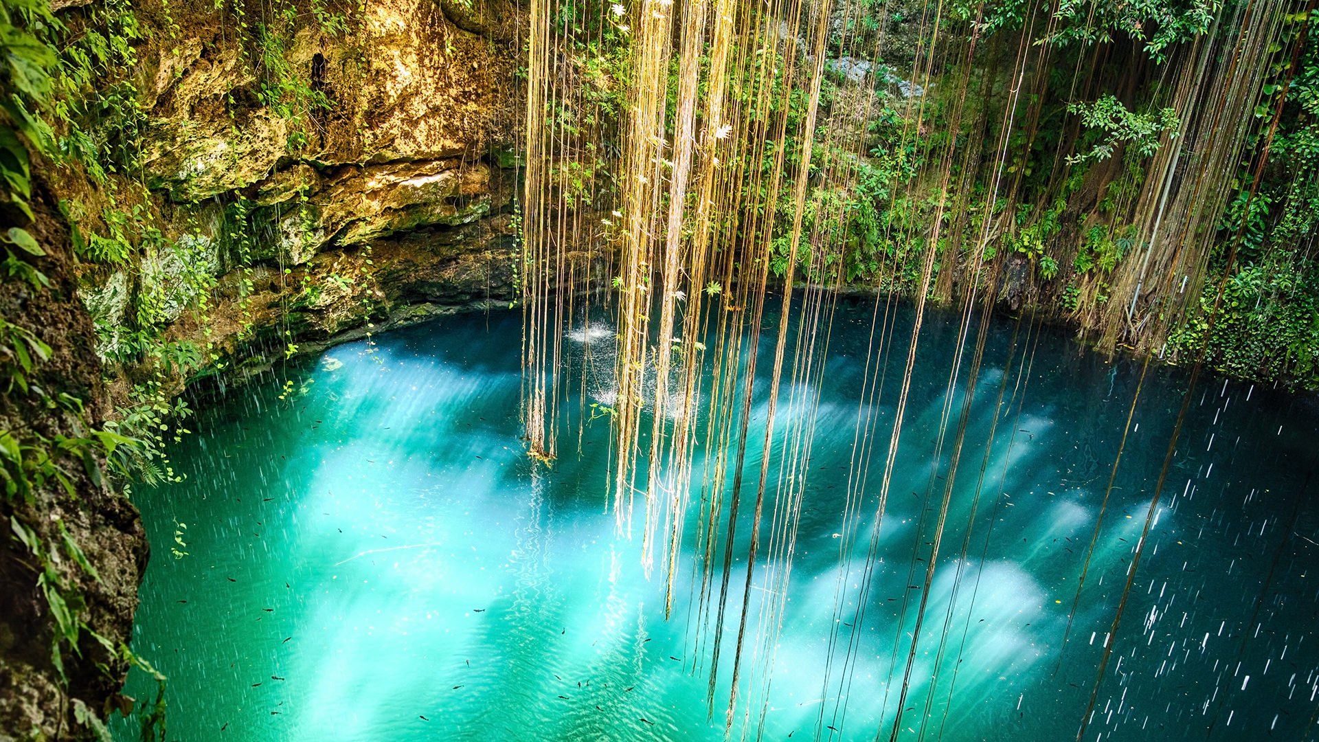 Cenote Wallpapers Wallpaper Cave