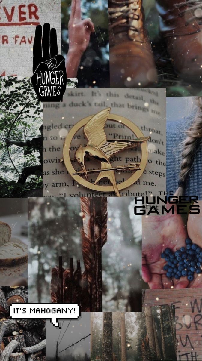 Hunger Games Aesthetic Wallpapers Wallpaper Cave