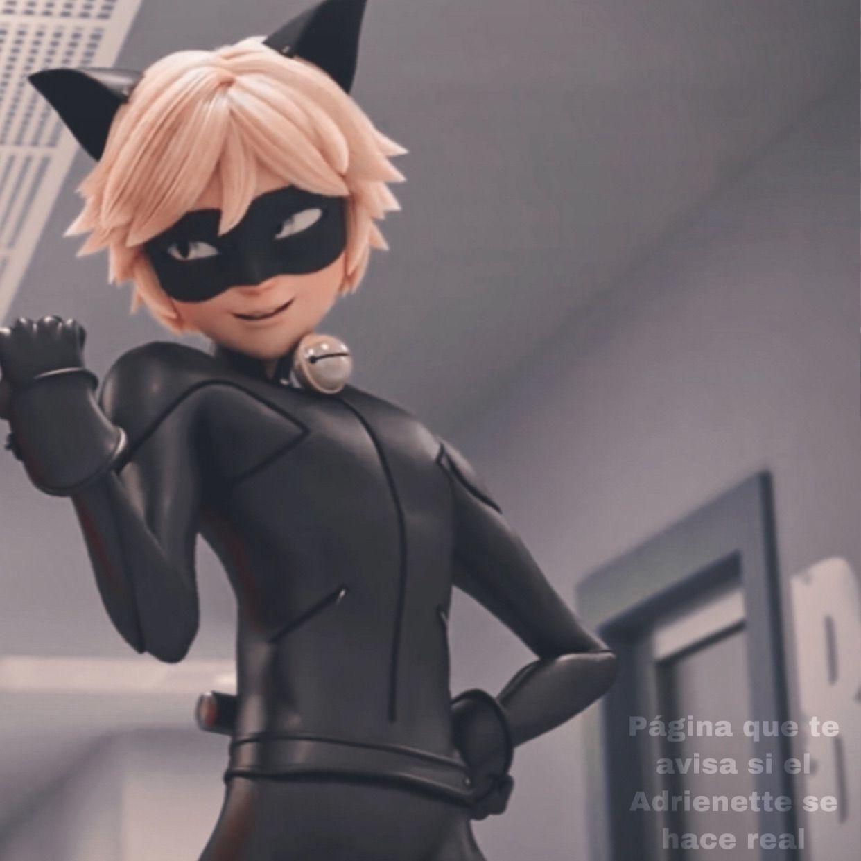 Aesthetic Cat Noir Pfp Personagens Ladybug Personagens Images And