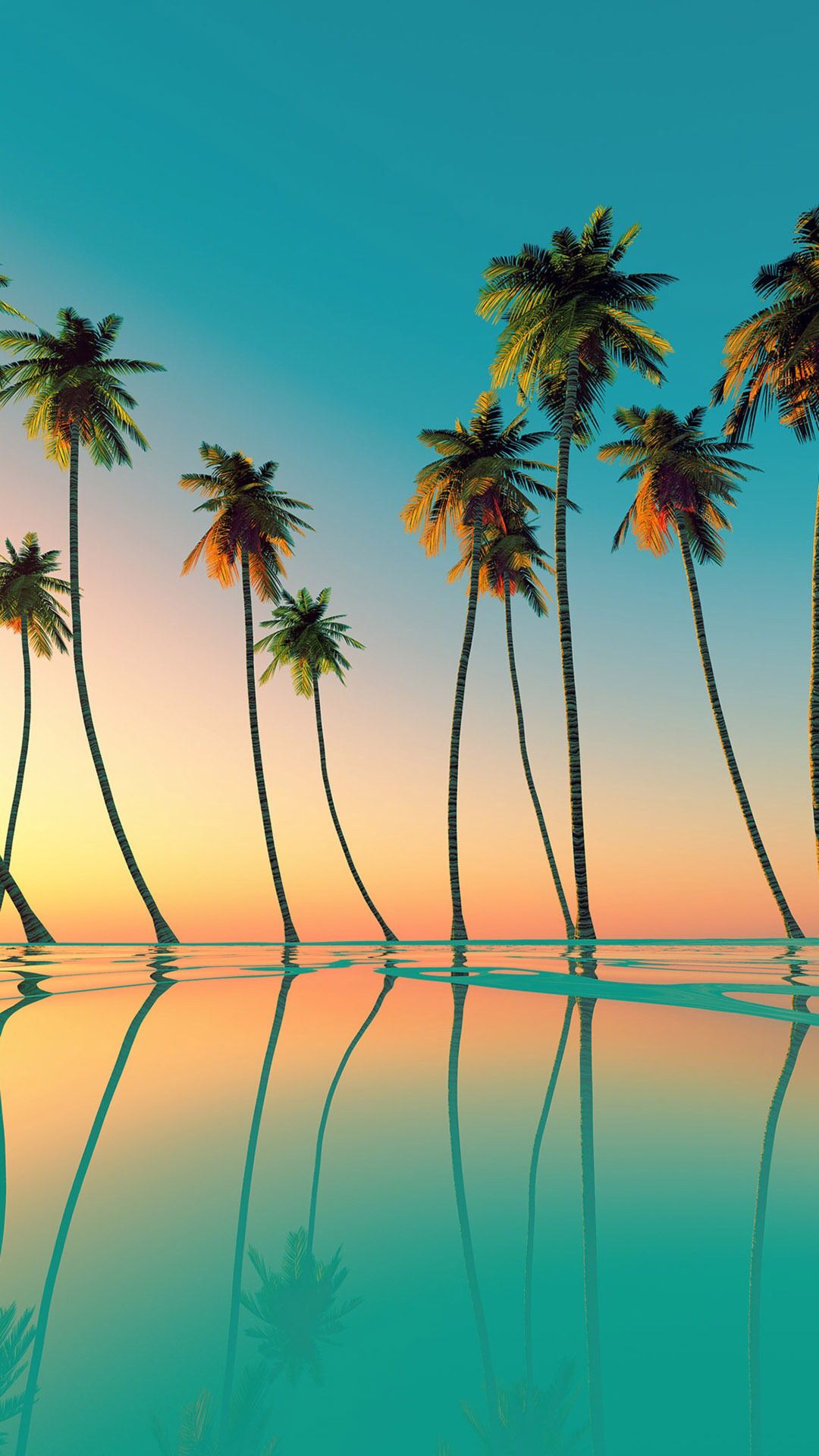 Summer Coconuts Wallpapers Wallpaper Cave