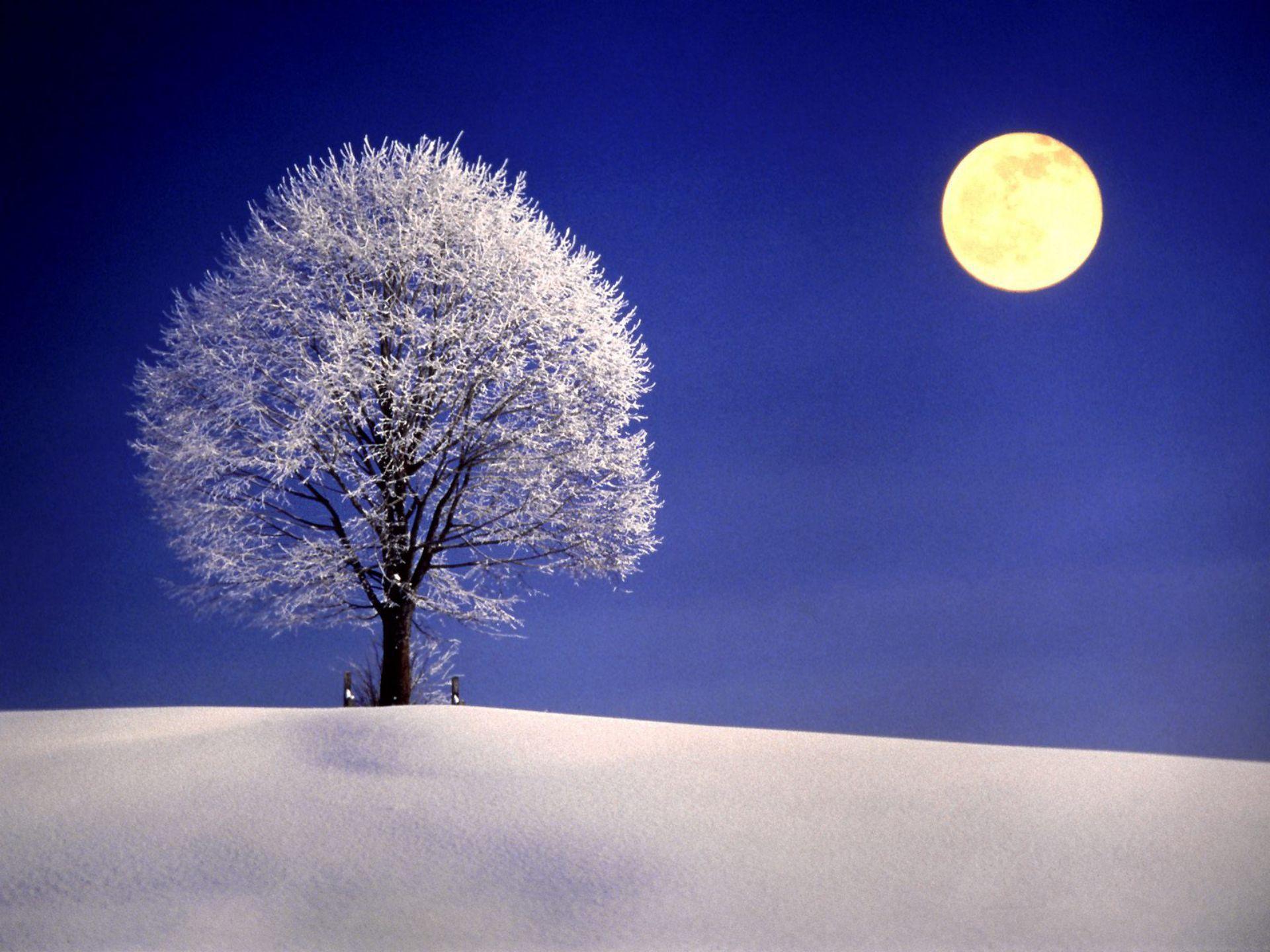 Winter Night with Full Moon widescreen wallpaper. Wide