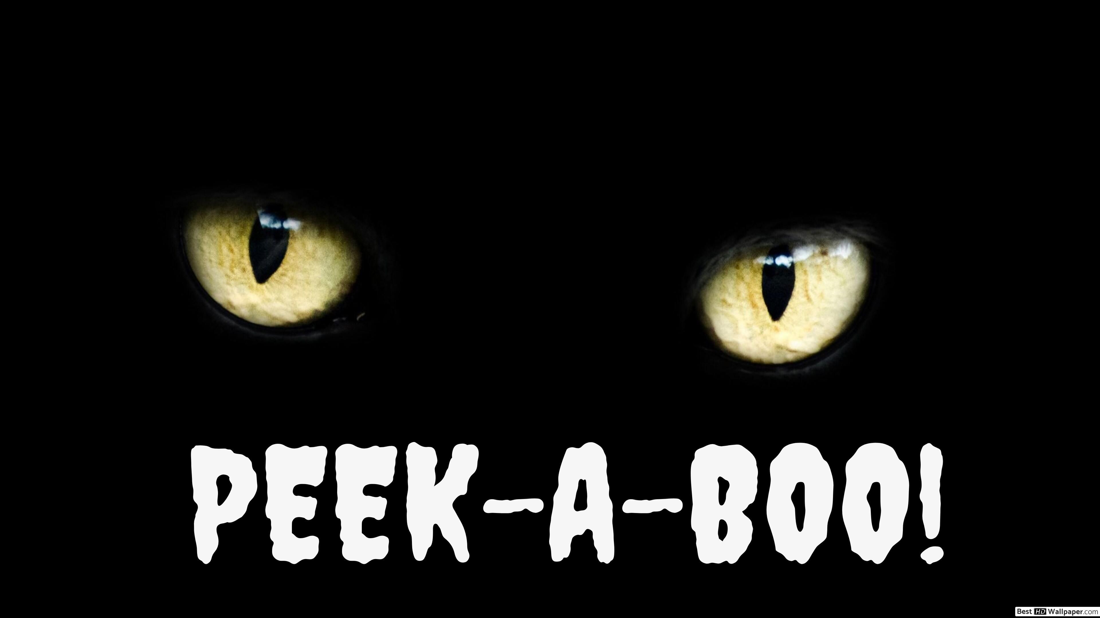 Peek A Boo Wallpapers Wallpaper Cave