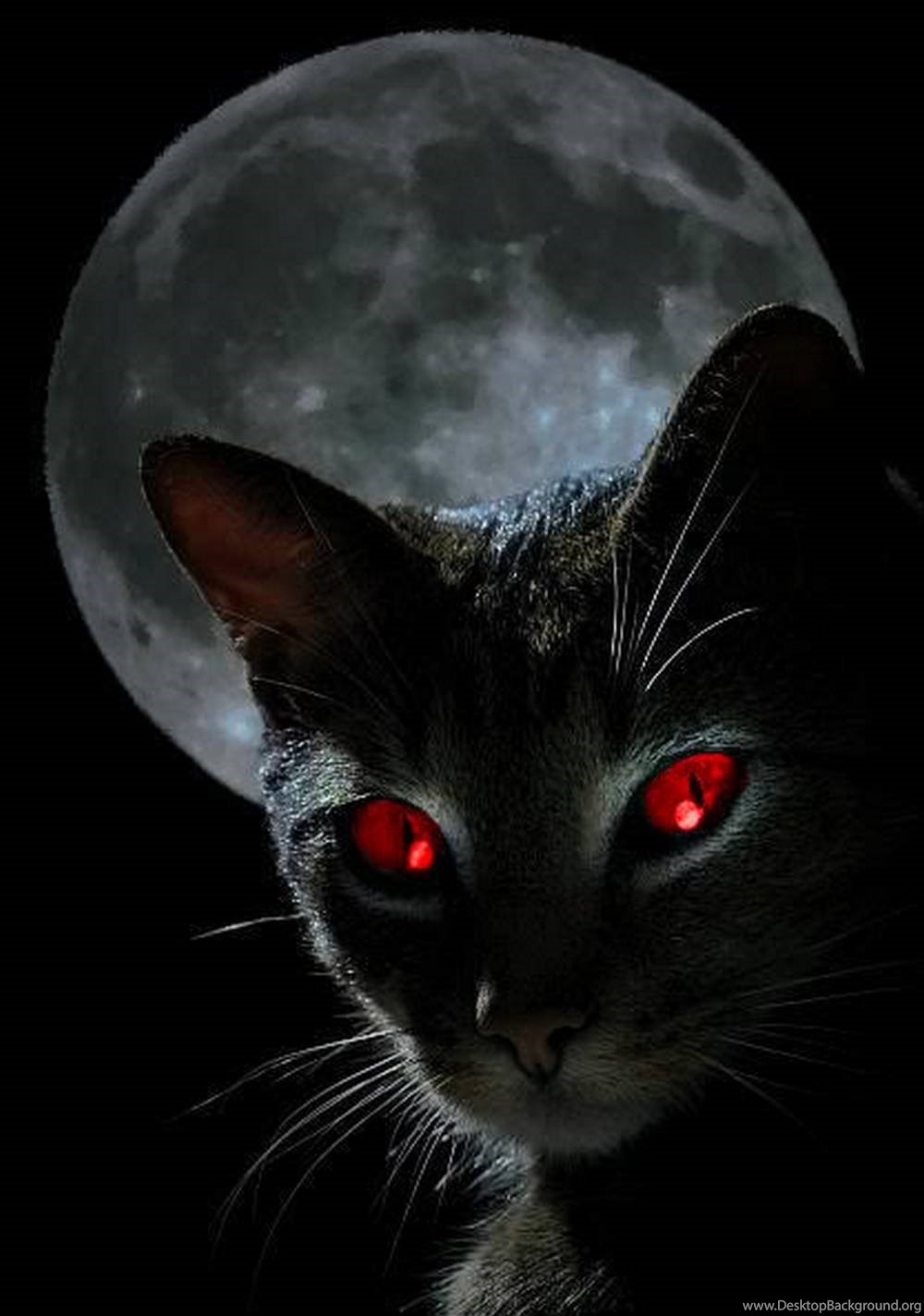 Black Cat Red Eyes Wallpaper Background Desktop Background