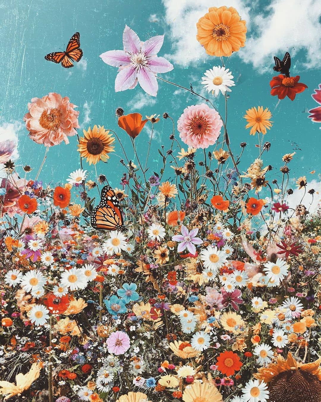 Flowers And Butterfly Aesthetic Wallpapers Wallpaper Cave