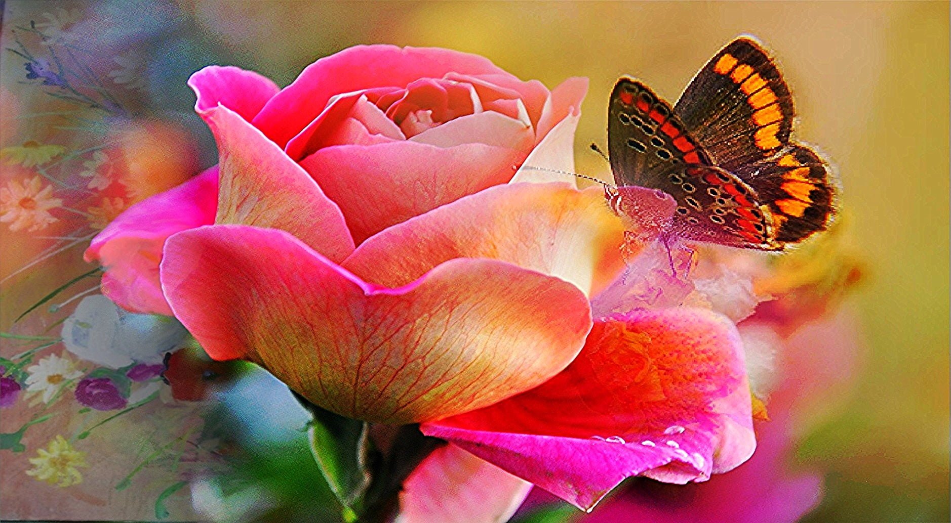 Flowers And Butterfly Aesthetic Wallpapers Wallpaper Cave