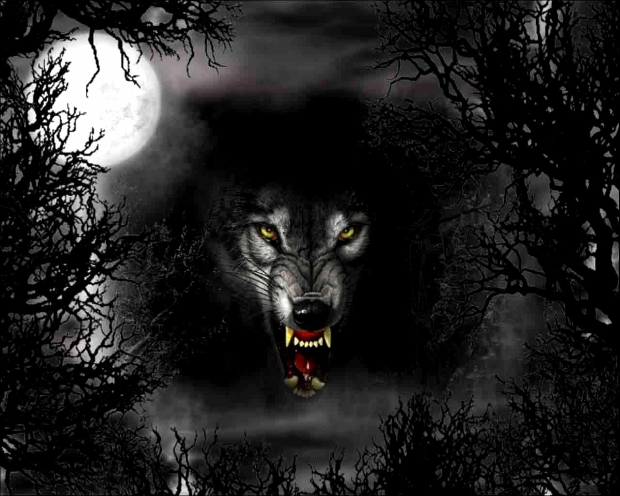 Wallpaper For > Dark Wolf Wallpaper