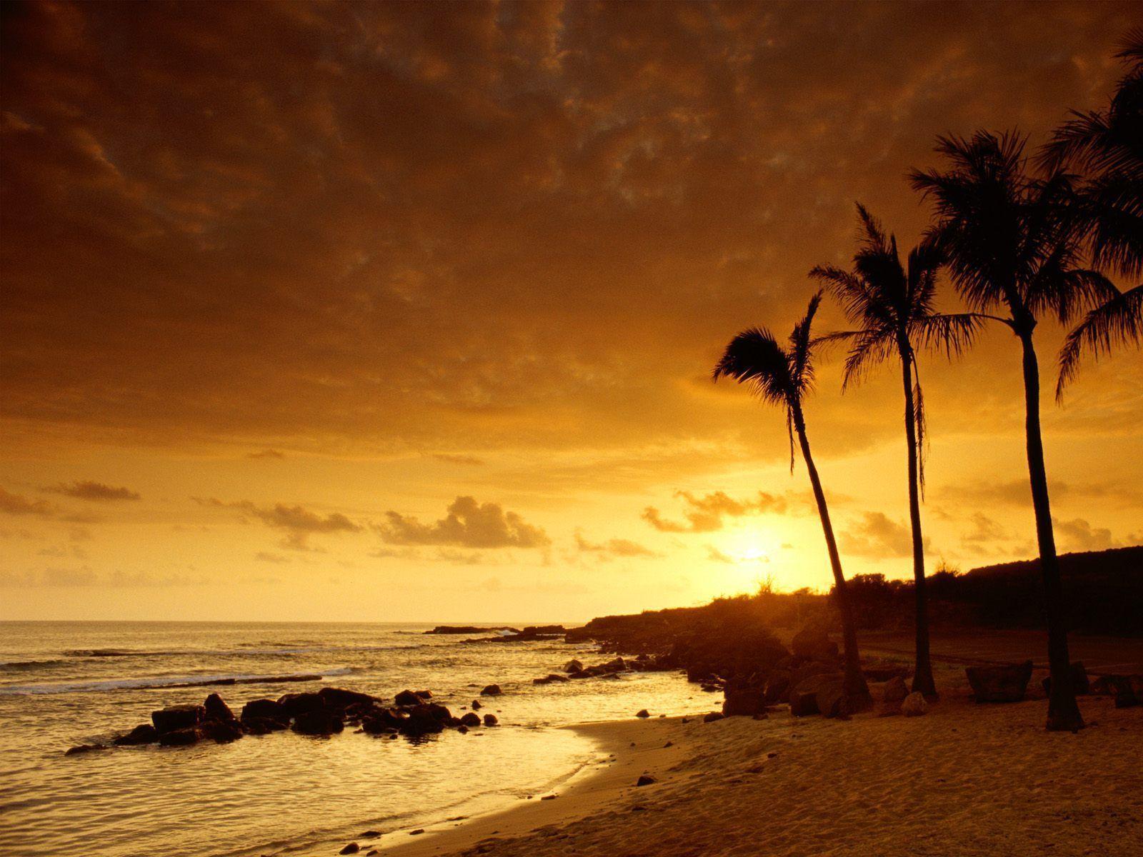Wallpaper For > Hawaiian Sunset Background