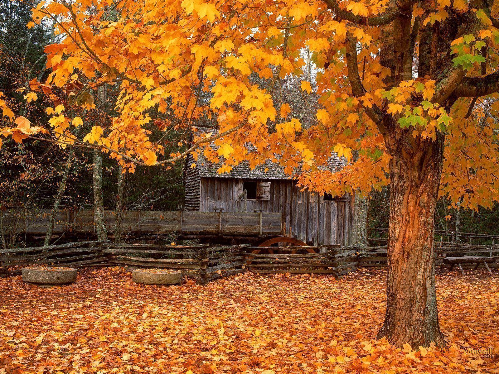 山小屋と紅葉 スマホの待ち受け画面やpcの壁紙に使える秋の無料画像 Naver まとめ