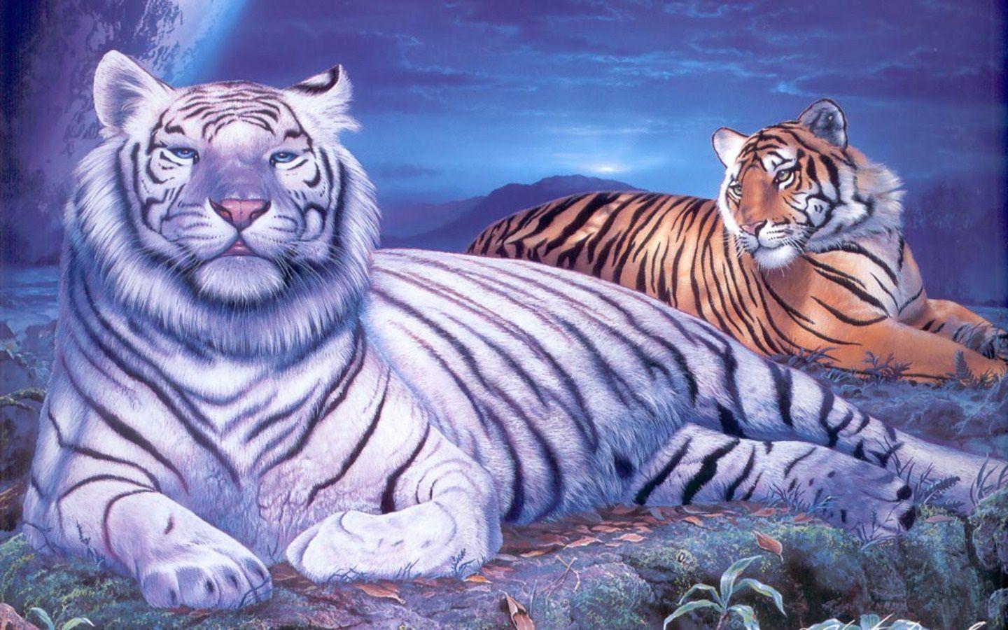 White Tiger Wallpaper 57 Background. Wallruru