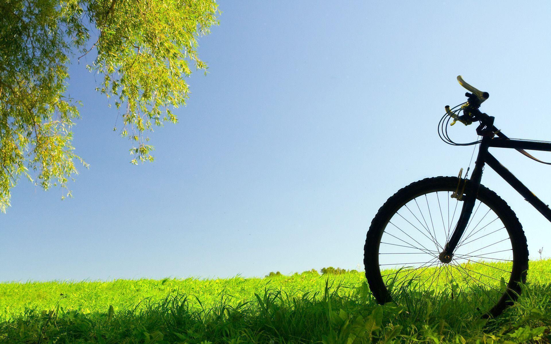 Vehicles Bicycle Green Grass HD Desktop Wallpaper