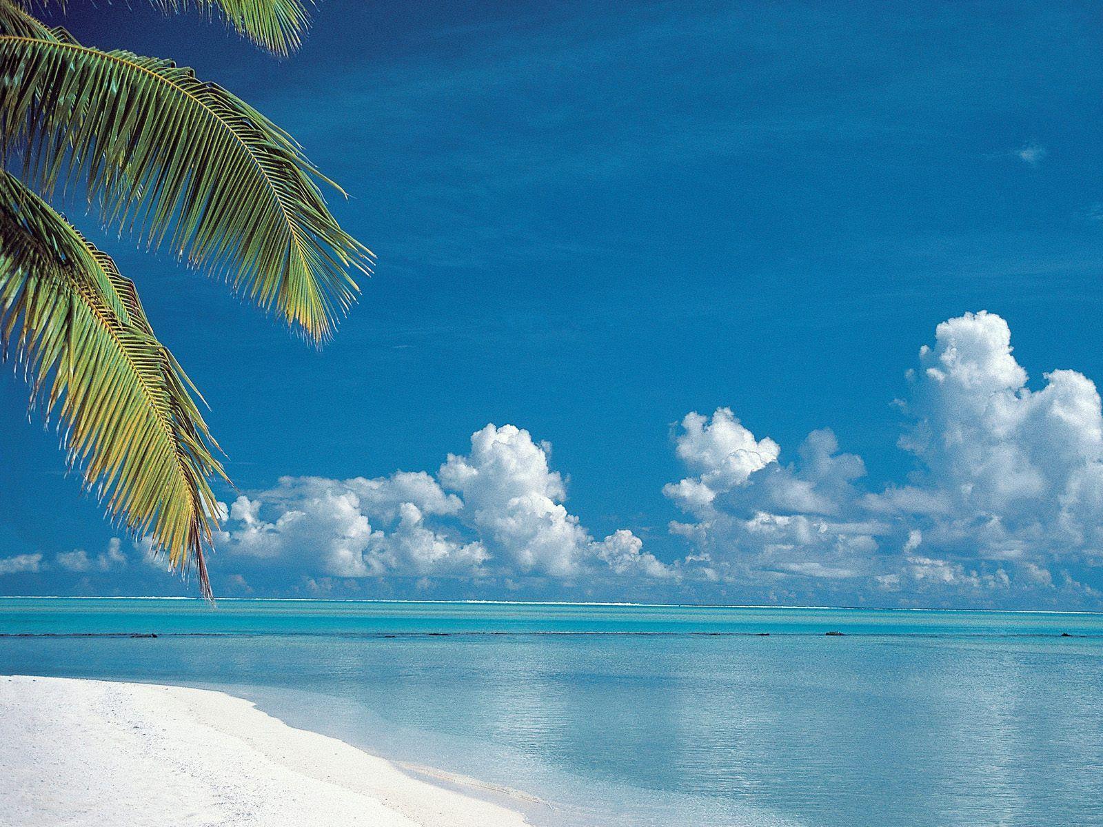 Tropical Beach Aitutaki Cook Islands Desktop Wallpaper
