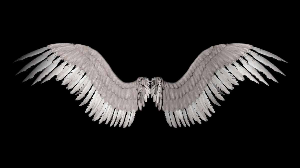 Angel Wings Wallpapers - Wallpaper Cave