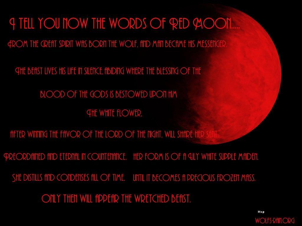 words red moon, Desktop and mobile wallpaper