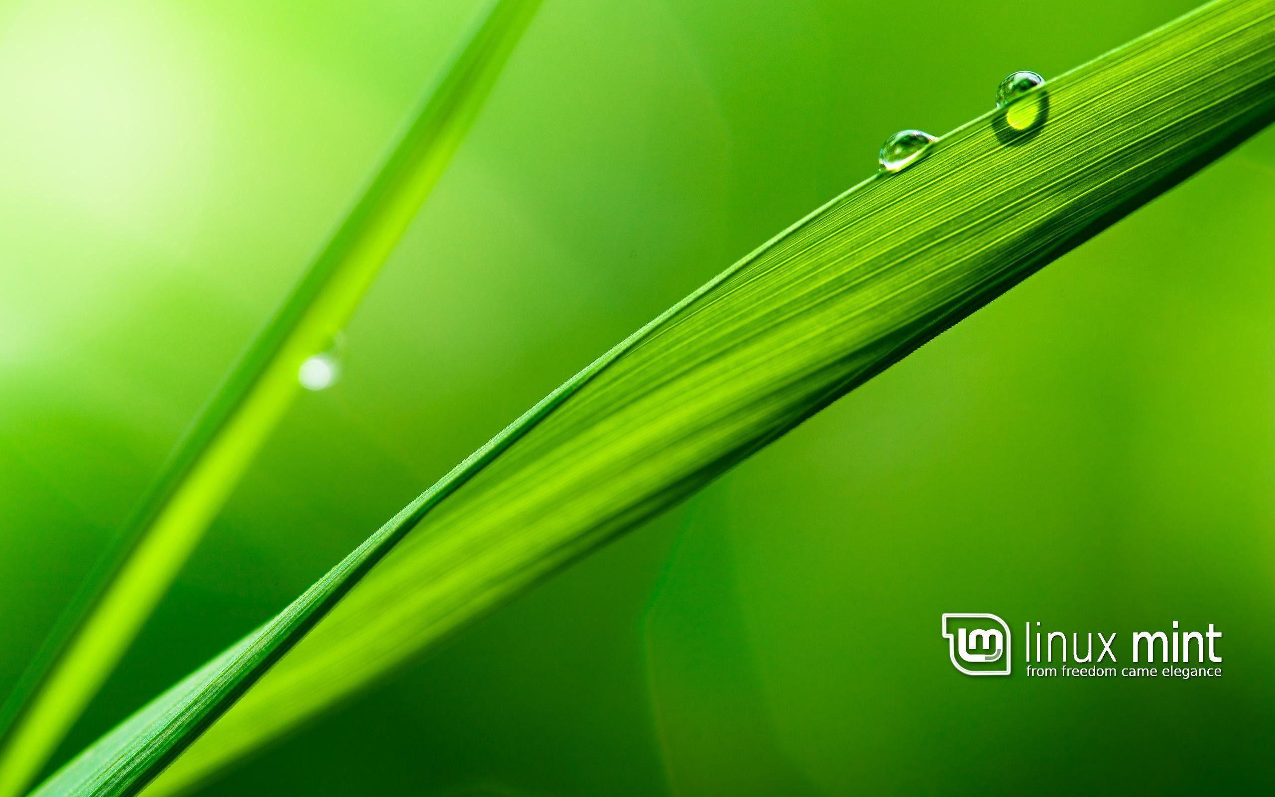 Linux Mint Forums • View topic Minty wallpaper collection 2014