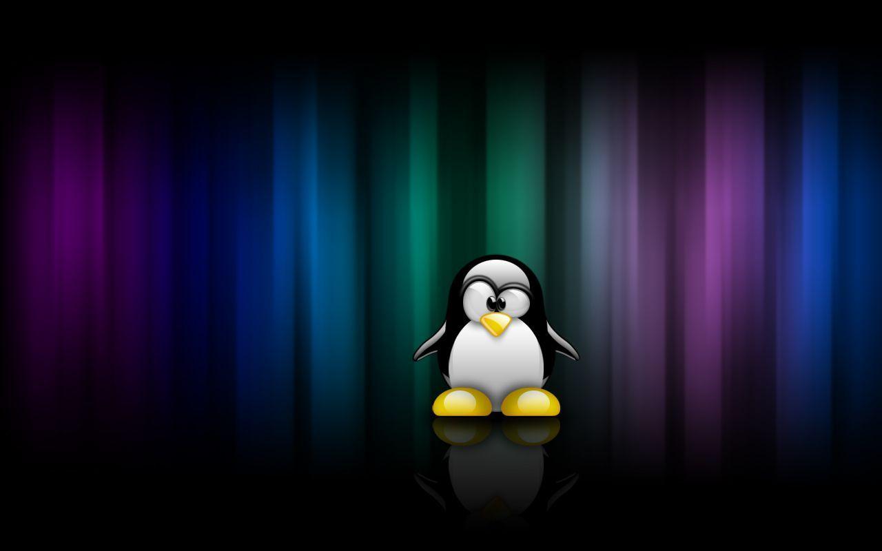 Download Linux Tux Wallpaper 1280x800