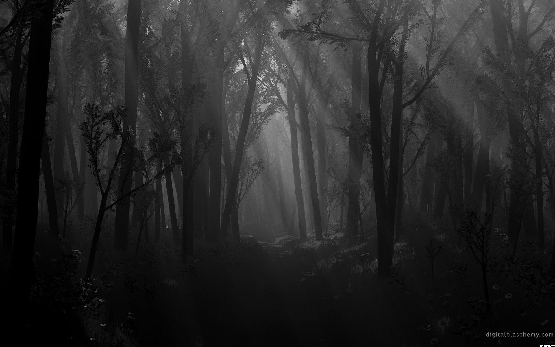 Wallpaper For > Dark Forest Background Drawing