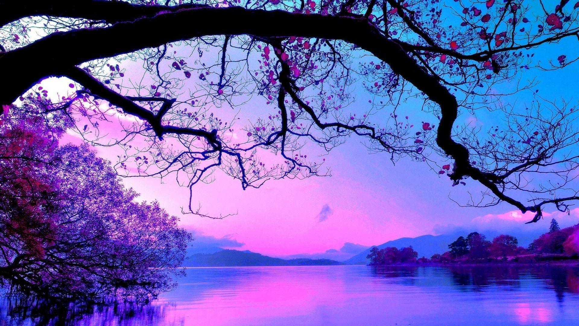 Wallpaper For > Purple Trees Wallpaper