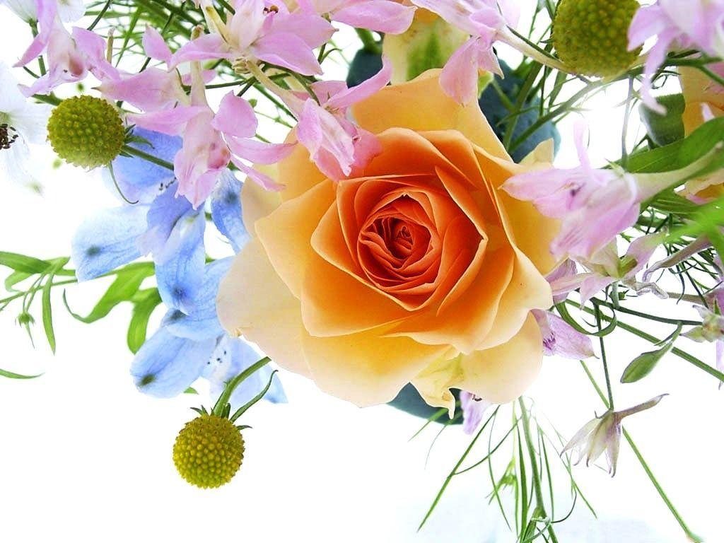 Beautiful flowers wallpaper for desktop free download