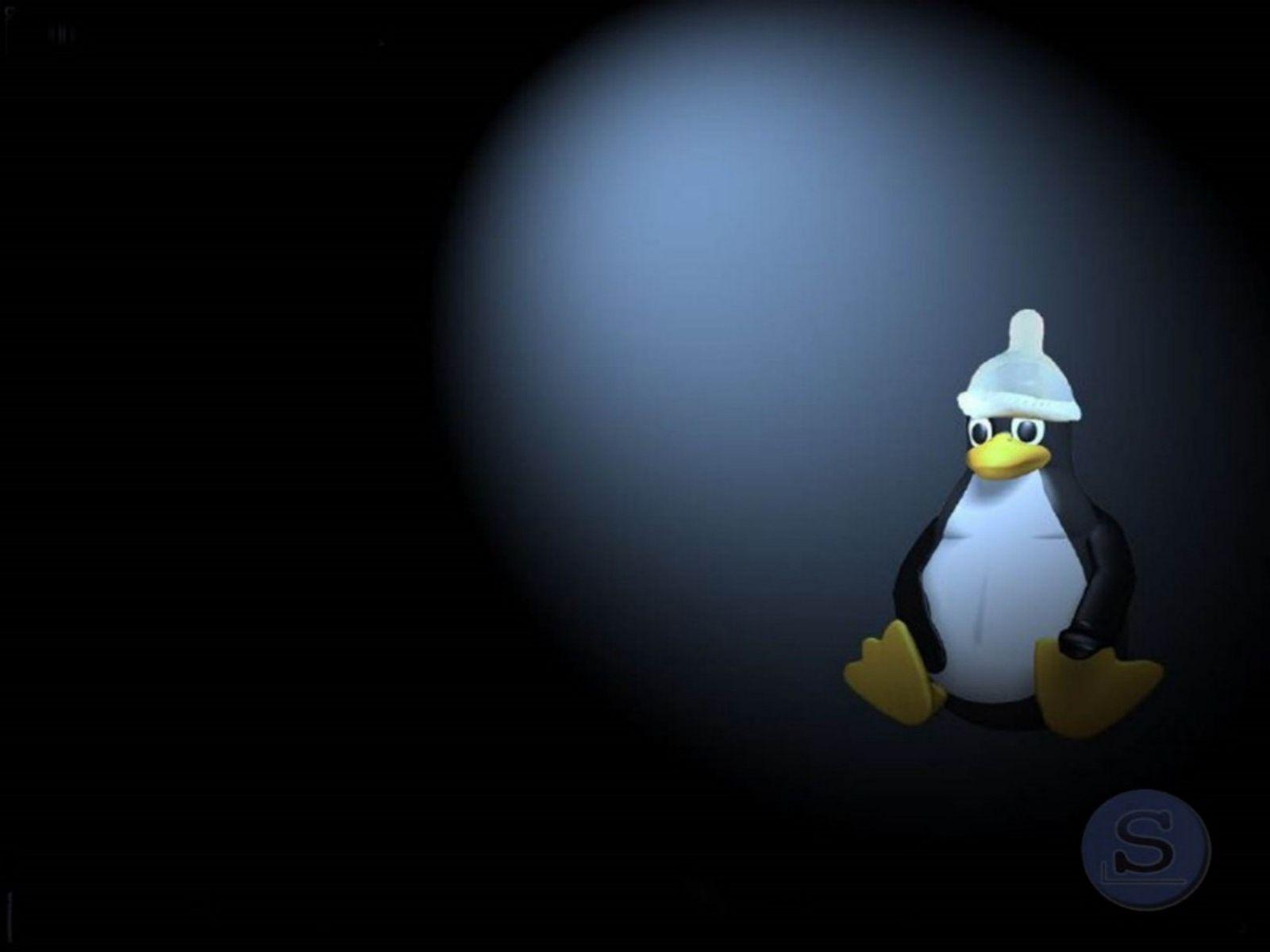 Tux Penguin Linux Slackware Wallpaper The New Background For Slack