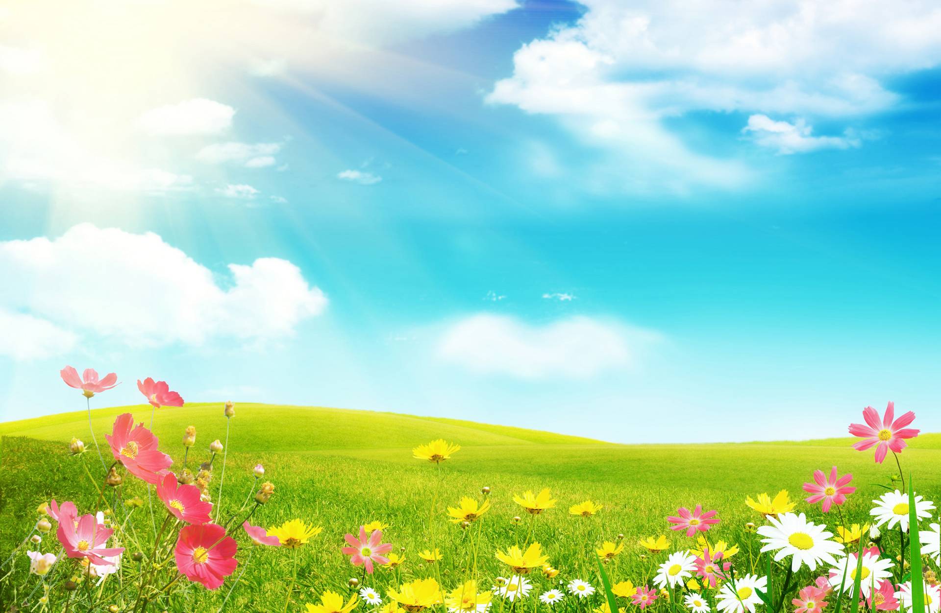 Well Designed Free Spring Wallpaper 1920x1252PX Free Spring