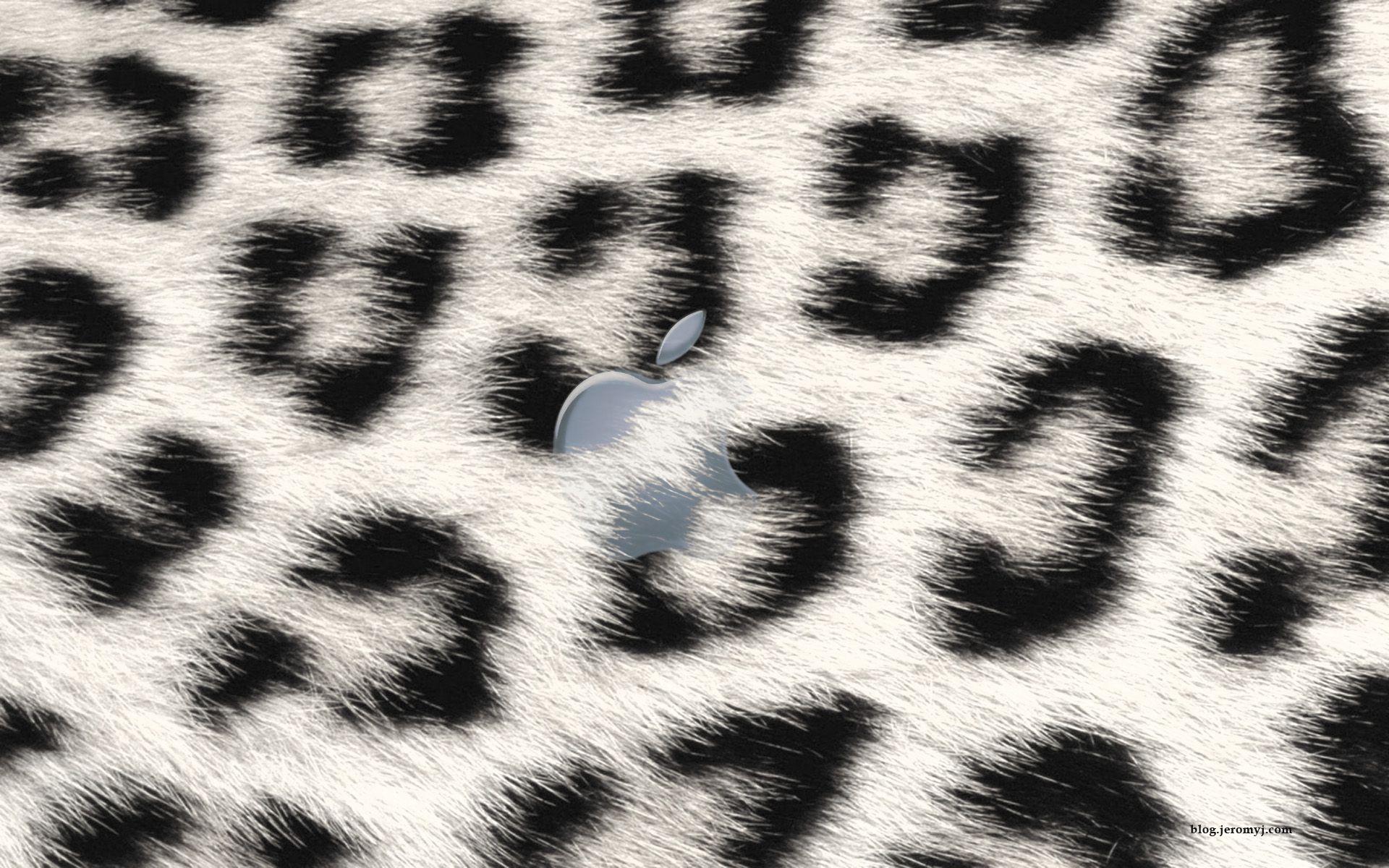 Snow Leopard Wallpaper. HD Wallpaper Image