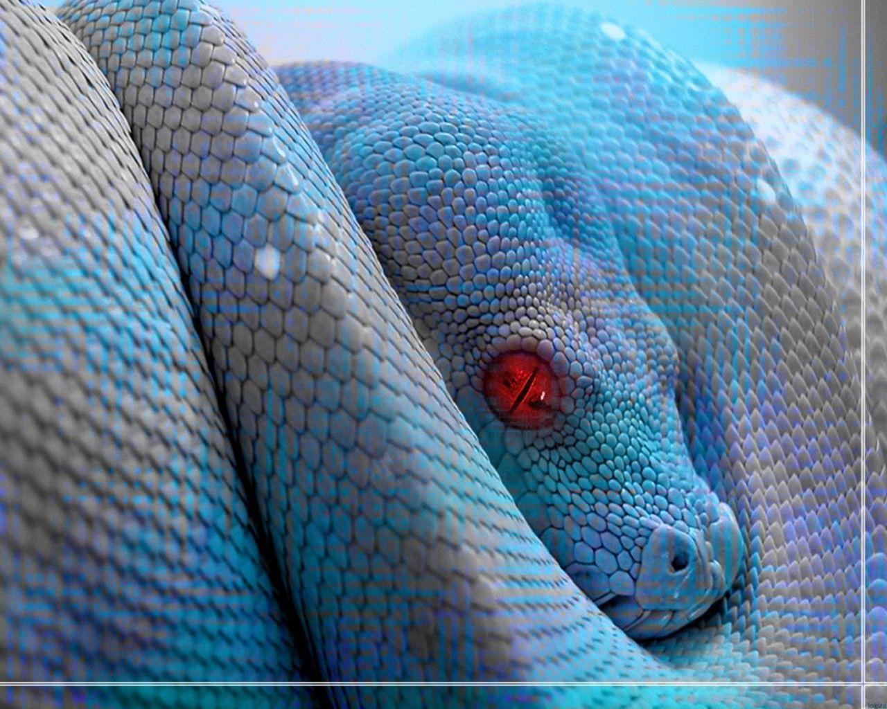 Wallpaper For > Blue Snake Wallpaper