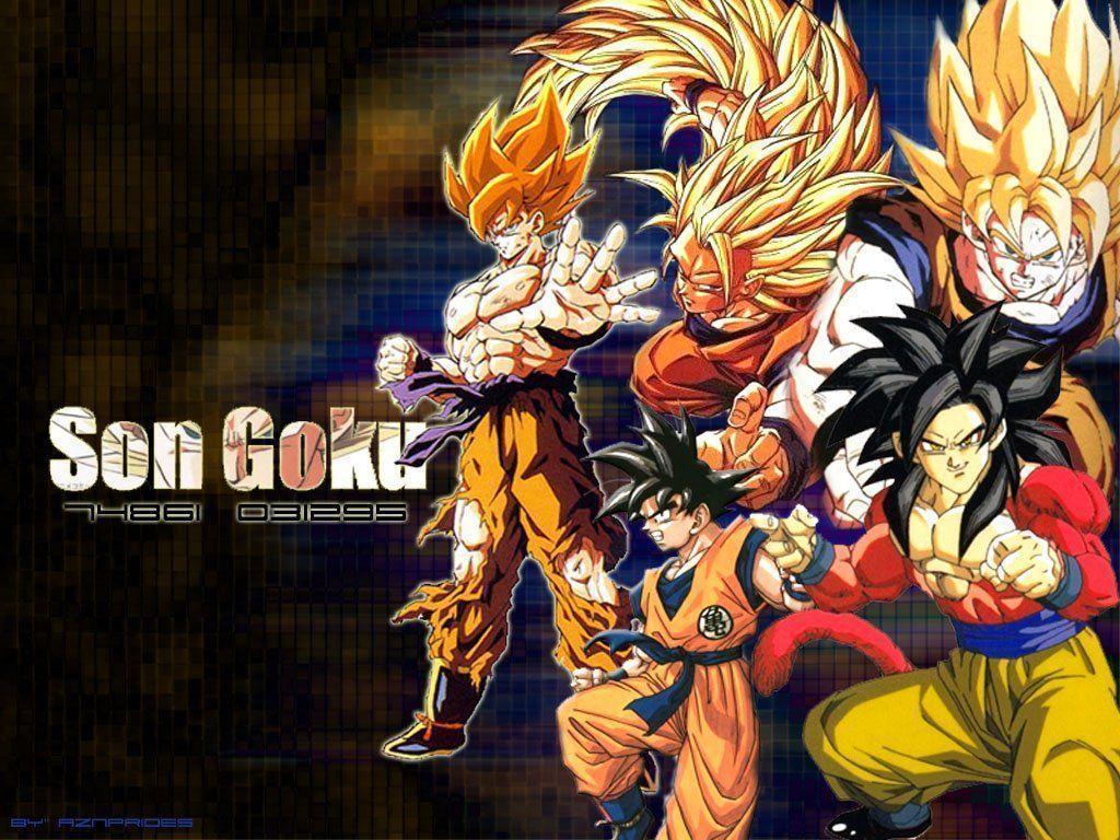 Dragon Ball Z Son Goku Evolution Wallpaper HD Wallpaper