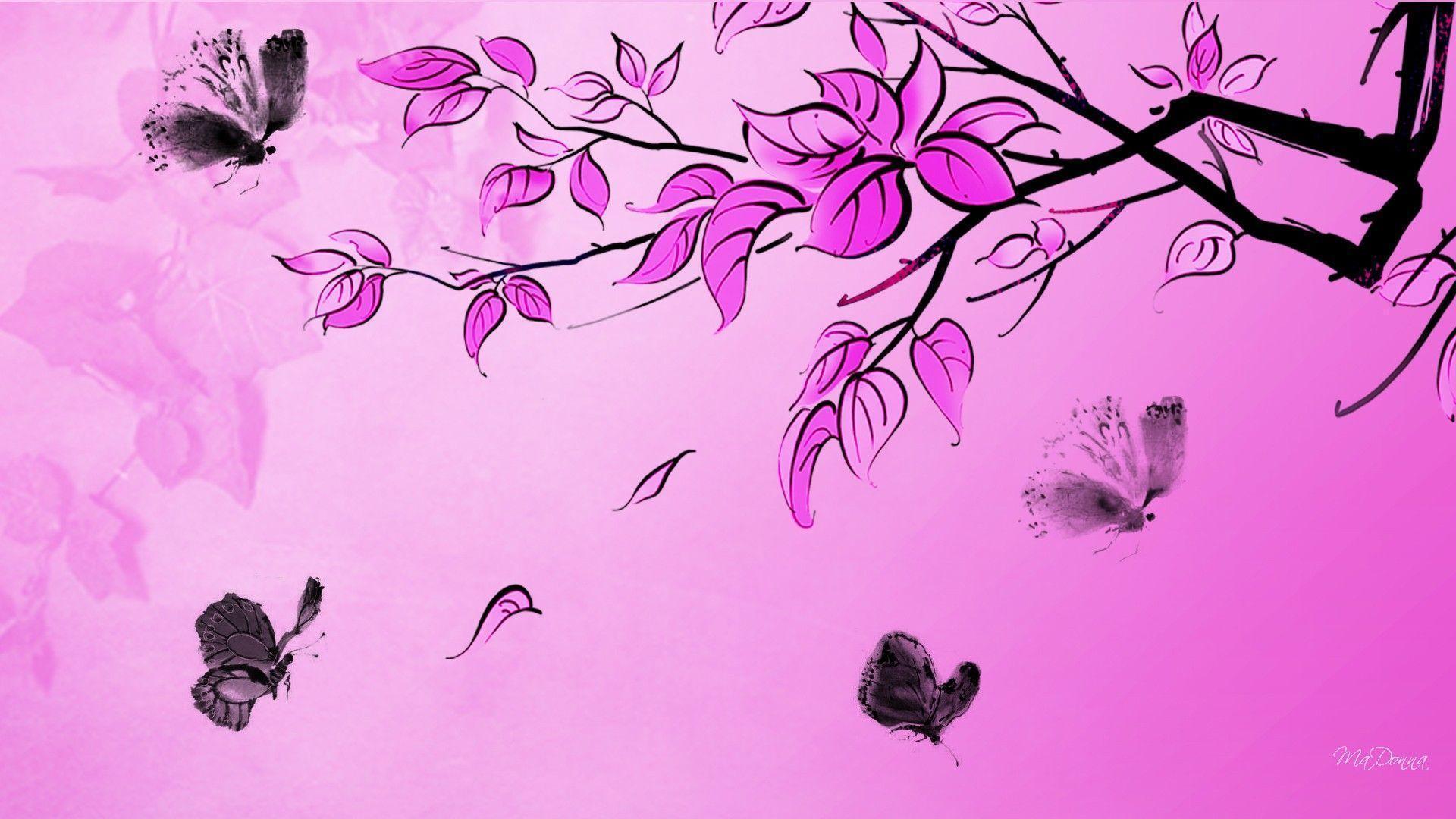 Wallpaper For > Hot Pink And Black Butterfly Wallpaper