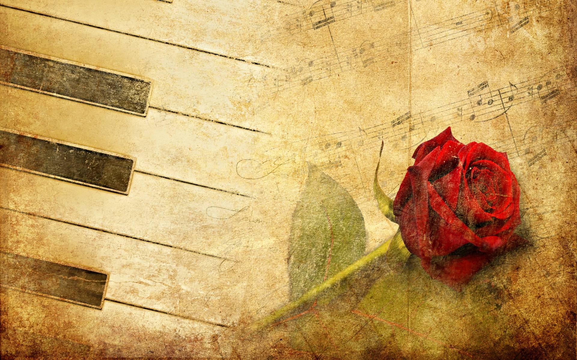 Music: Astonishing Rose Piano Wallpaper