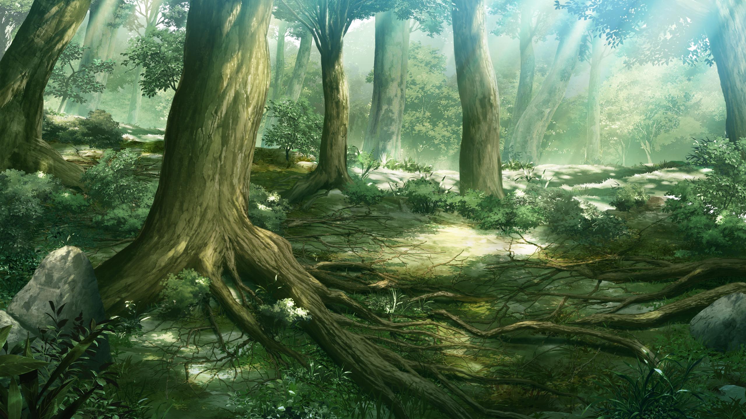 image For > Anime Forest Scenery