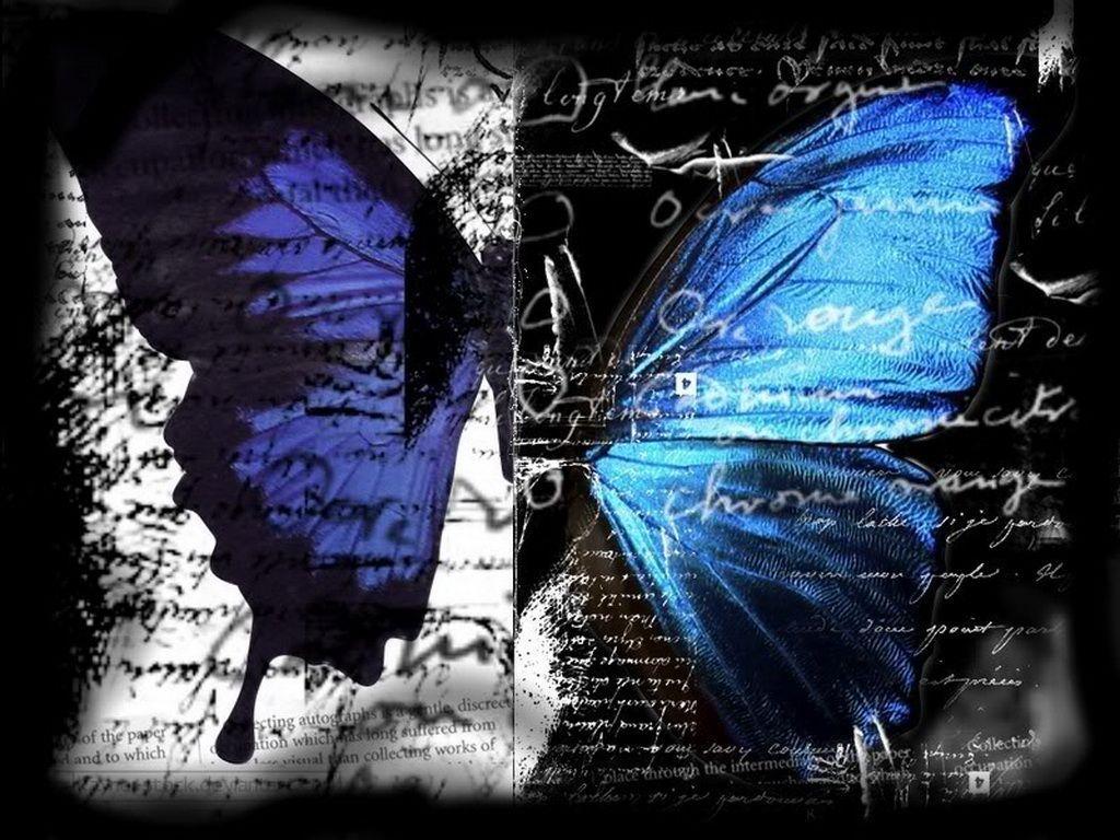 Wallpaper For > Blue And Black Butterfly Wallpaper