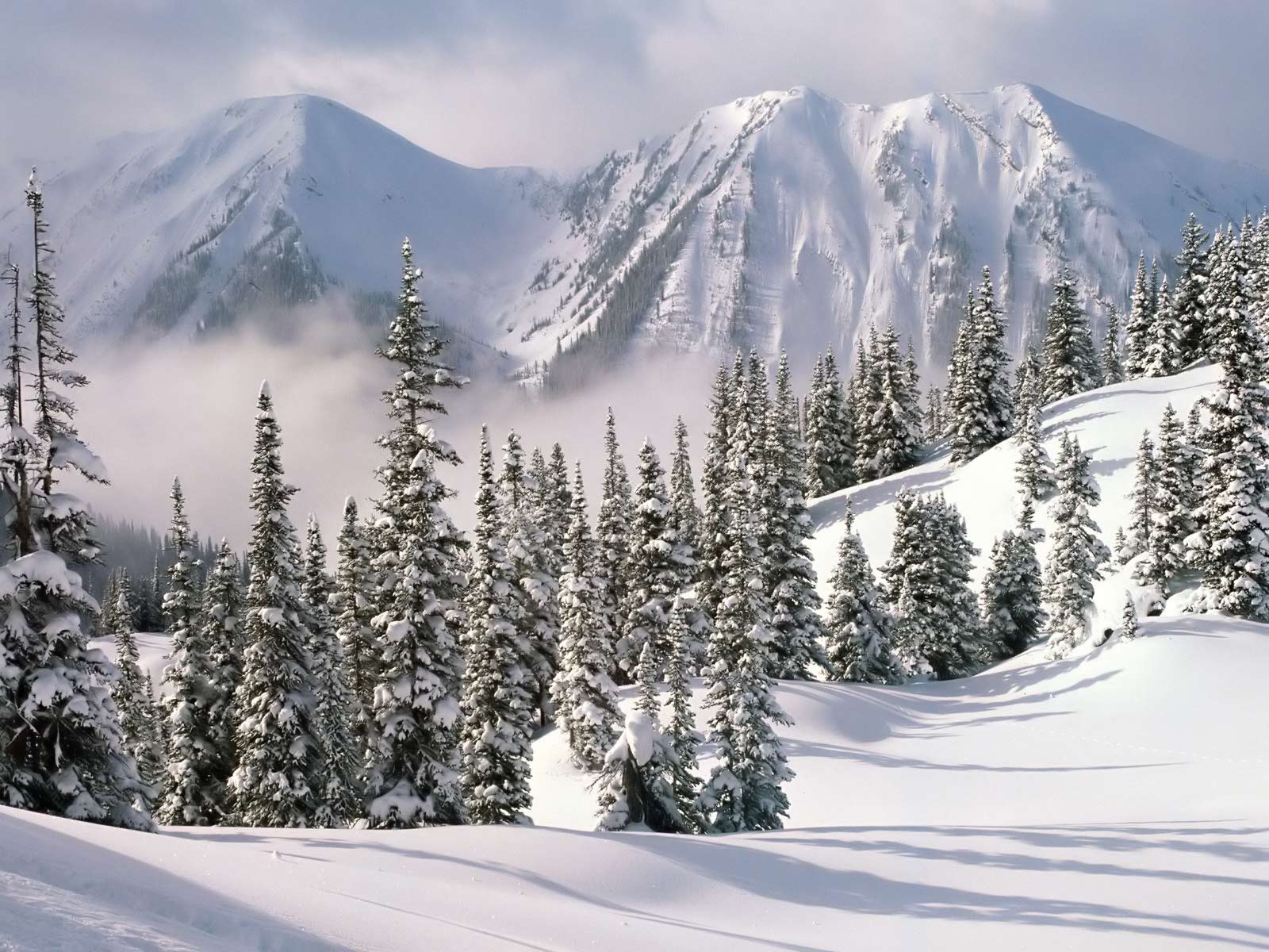 Winter Scenery Picture Background