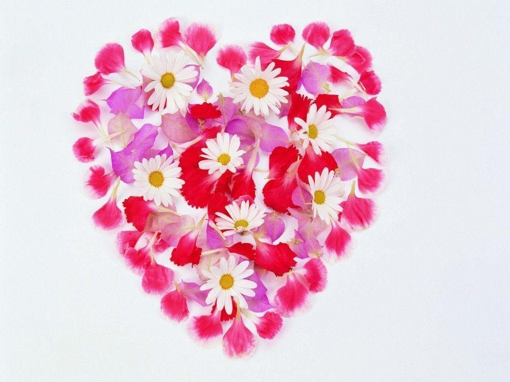 Heart Of Flowers Desktop PC And Mac Wallpaper: Hearts