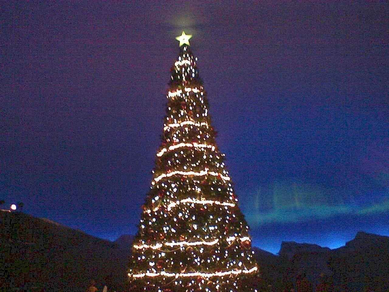 Polar Express Christmas Tree