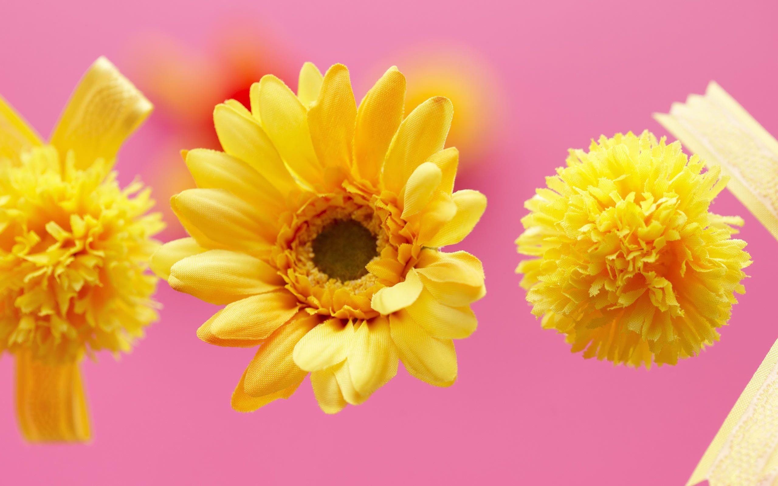 Desktop Wallpaper · Gallery · Windows 7 · Yellow flower wallpaper