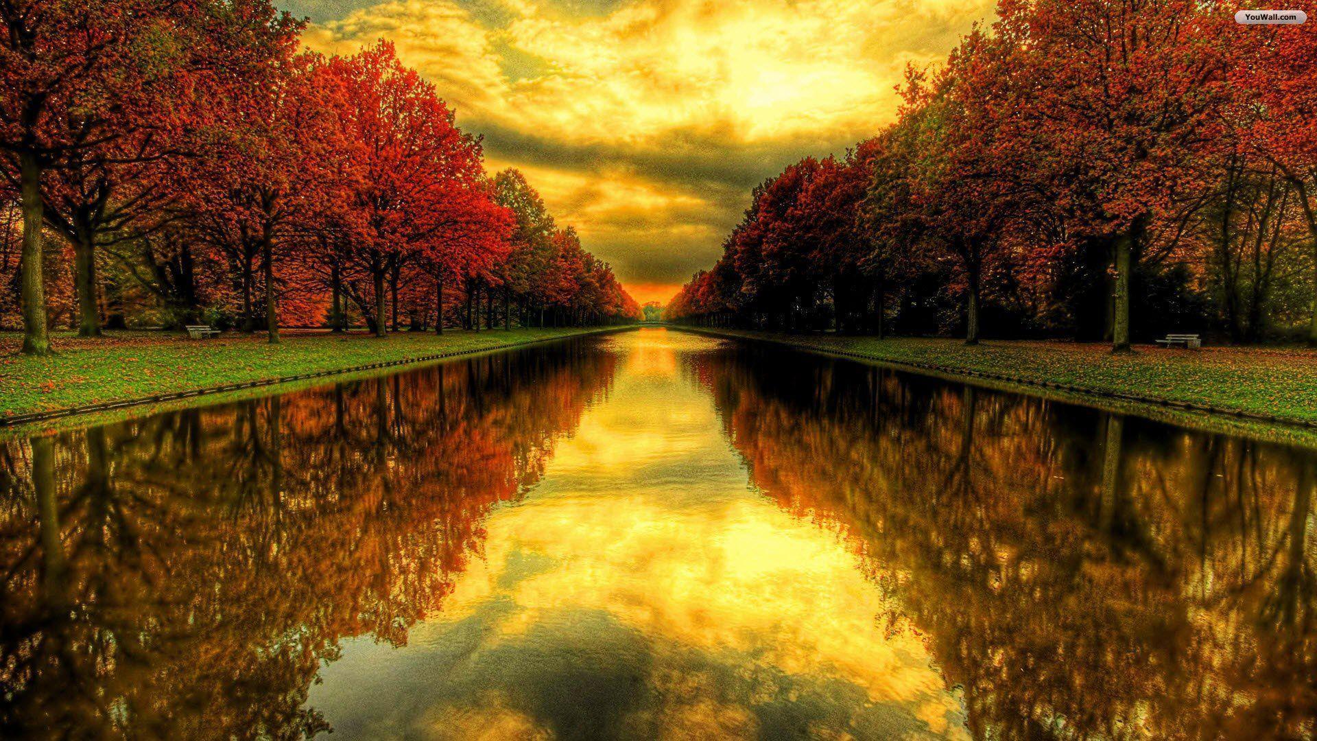 Beautiful Fall Background HD Wallpaper Background