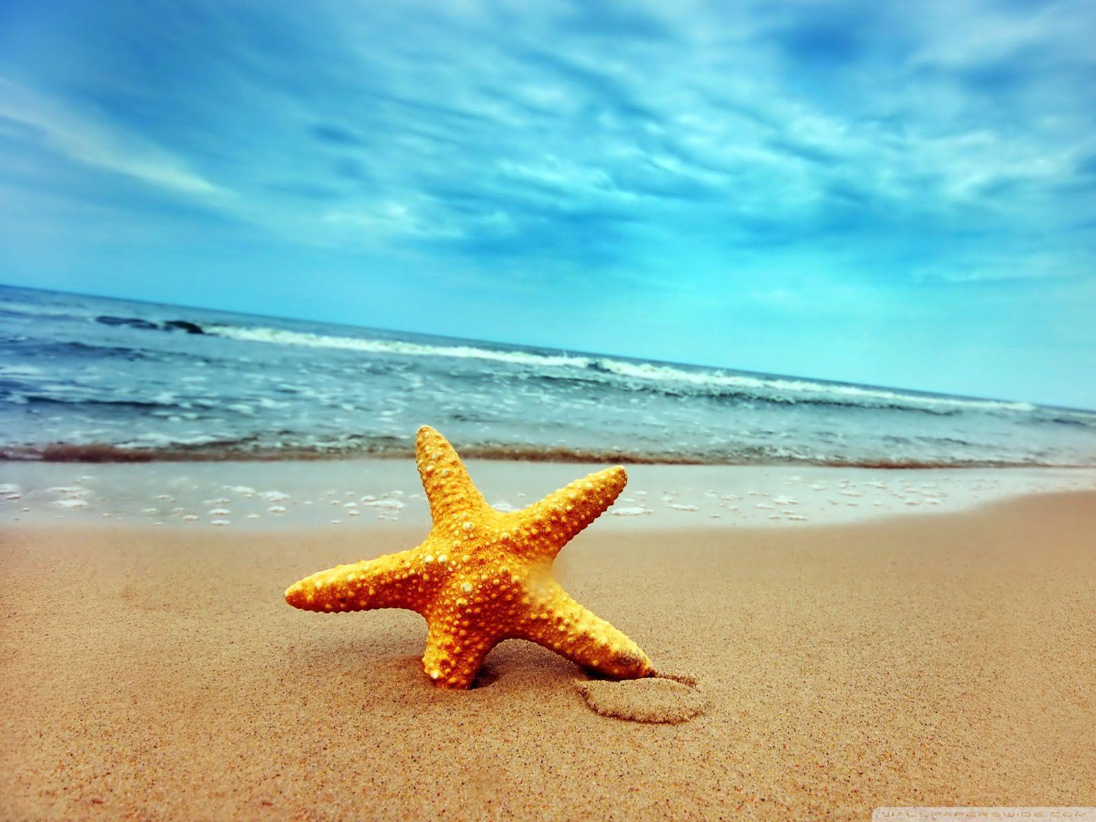 starfish sea beach sand wallpaper 9